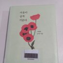 숲속의바이올린