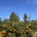 승민농장 이미지