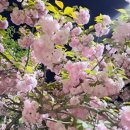 로하스랜드 이미지