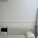 브로우달리