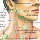 예원이비인후과의원 이미지