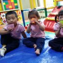 수민농장 이미지