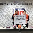 트라이브 이미지