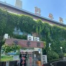 토요일은 밥이 좋아 곡성 한우 토시살 한우생비빔밥 토밥즈 미경산 한우집 전남