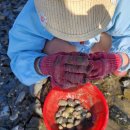 노블리스펜션 이미지