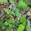 하산전경로당 이미지