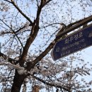 애니카랜드 합정점 이미지