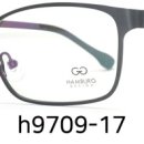 H9709 이미지
