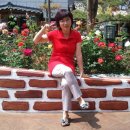 해복농장 이미지