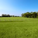 노송골프 이미지