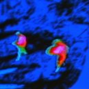 쿠바복싱 이미지