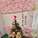 에이본 스퀘어 뷔페 | 군산맛집 #에이본스퀘어뷔페 석식 내돈내산 후기 가격 메뉴