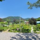 들꽃여울캠핑장 이미지