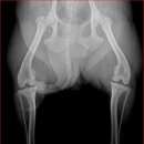 테크노연합 동물병원 이미지