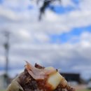 금마루 식당 주차장 앞 | 경북 예천 용궁 맛집 박달식당 후기~ 블루리본 13년 연속 막창순대·수육 맛집!