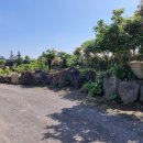 복부인공인중개사사무소 이미지