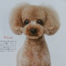 강아지 정거장 이미지