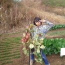 평강농장 이미지