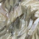 장자보3길 이미지