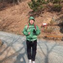 백양산임도 이미지