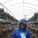 도니울마을 | 이천가볼만한곳-도니울마을 어르신들 체험후기