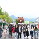 스프링글로벌
