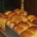 대왕뼈삼겹 | 해운대빵지순례|해리단길맛집|부산빵집::스탠다드브레드 해운대 내돈내산 후기!!(글로우부산 해운대)