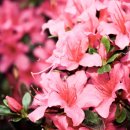 고려시대부터 조선시대까지 역사 알아보기 이미지