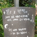 비석농장 이미지