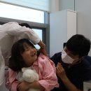김대우소아과