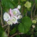 태영114공인중개사사무소 이미지