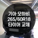 한국타이어 옥정신도시점 이미지