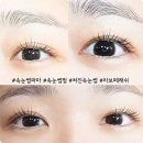 라보떼래쉬 이미지