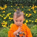 태평양어린이집 이미지