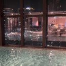 온수멋쟁이