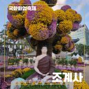 [장애인 및 장애가족] 아기용품 만들기 | 조계사 국화화엄축제 15회, 꼭 가봐야 할 이유와 인생샷 포인트