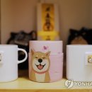 CATS TIME CAFE 이미지