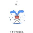 2026년 5월 교토여행