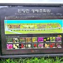 올레길 도심형 1코스 | 구로올레길 도심형 1코스