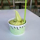 토마르 | [보홀 맛집] 토마르 Tomar 스페인 음식점 | 보스뱅 | Mocobay 코코넛 아이스크림 | 아이스플레이크
