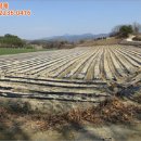 고평리 마을회관 이미지