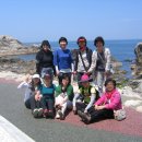 삼척평생교육정보관 Daum카페