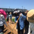 가좌농장 이미지