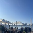 비어마켓 | 712 : 속초마리나 비어위캔드 플리마켓 셀러로 참가한 후기