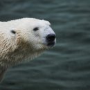 통키통키 이미지