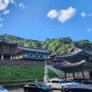 치악산한의원 네이버블로그
