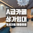 미스터홈즈부동산 공인중개사사무소 경산 | 경산카페양도양수매매 월세저렴 매출좋음 추천매물 경산카페임대