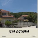 숲79펜션 내돈내산 후기｜포천 단체펜션 추천, 산정호수 수영장 펜션