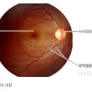 베토벤피아노사 이미지