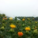 심정농장 이미지